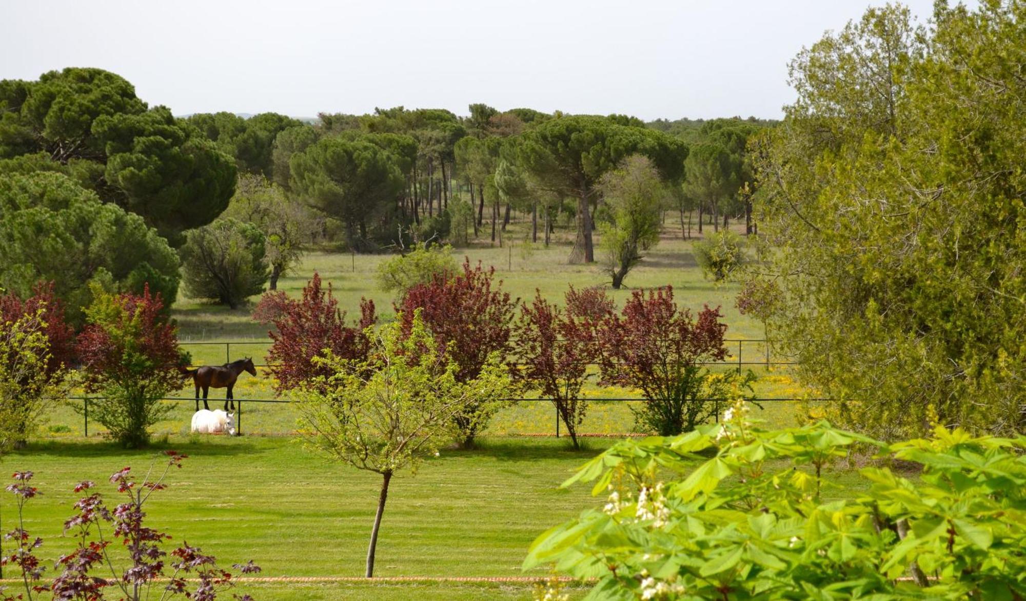 Posada Real Del Pinar Pozal de Gallinas Extérieur photo